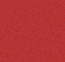 Линолеум Forbo Bulletin Board 2210 hot salsa фото 1 | FLOORDEALER